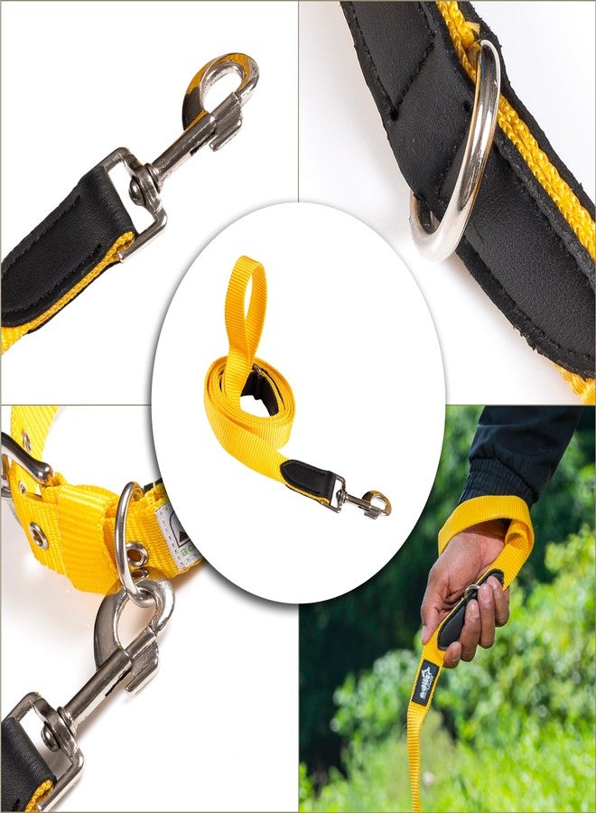 ADIL'S Adil’s 5FT Adjustable Nylon Dog Leash with Soft Leather Handle - Durable Long Lead with 360° Swivel Hook - Strong, Tangle-Free Leash for Walking & Training Small, Medium & Large Dogs (Yellow) - Image 5